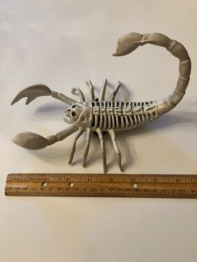 Creepy Wearable Halloween Scorpion Skeleton EUC